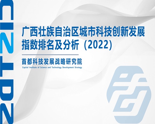 鸡巴插逼逼视频网站【成果发布】广西壮族自治区城市科技创新发展指数排名及分析（2022）